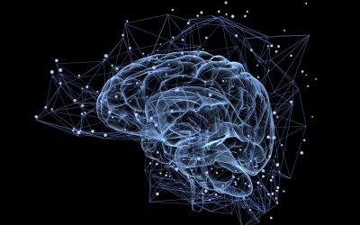 Brainspotting bij Triple Impact